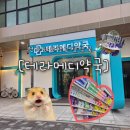 전주대형약국 | 💊전주최초창고형약국;솔직후기 /가격/종류/[테라메디칼약국]