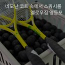 대림 | 옐로우 짐 영등포에서 스쿼시원데이클래스 서울 스쿼시 추천