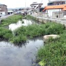 주문6리 이미지