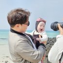 제주 해녀스냅 7개월 아기 나래스냅 후기