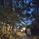 신관 | 후쿠오카 여행 DAY 1ㅣ유후인 무소우엔 료칸 신관 숙박 후기