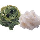 자연의 순환 이미지