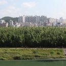 오산10리 이미지