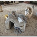 이방초등학교 이미지