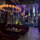 부엉이노래연습장 이미지