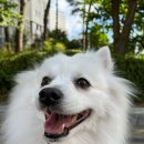 럽잇(Love it) 이미지