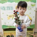 사랑의꽃집 이미지