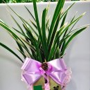 행복의아침 빌딩 이미지