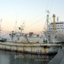 동해-단속-39 헤럴드경제