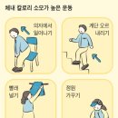 노년에 무병장수 건강 TIP 이미지