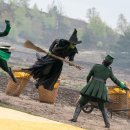 굿프라임2빌딩 | 위키드: 포 굿 위키드 2 용산 4dx 프라임 후기 (스포, 쿠키영상, 줄거리 등)