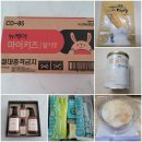 엔젤웰라이프