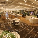 유니크 뷰티 이미지