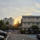 국립중앙의료원 이미지