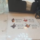 홍대물장수