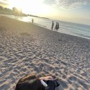 모모세탁소 이미지