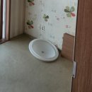 늘푸른청소 이미지