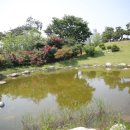 석남완충도시숲 이미지