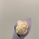 지예민박 네이버블로그