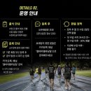 엘아이엠