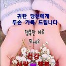 6월 14일 인천방만 추가 미사신청 받습니다 이미지