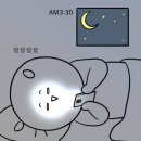 밤새헬스장 이미지