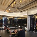 머슬메모리짐 이미지