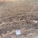 성석농장 이미지