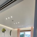 스테이 도채비꽃 이미지