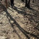 청계산 천개사 앞 화장실 | 서울 등산 초보 추천 산 청계산 등산코스 매봉 시간