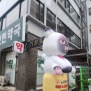 노라조 야옹아 이미지