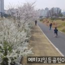 예미지일등공인중개사사무소 이미지