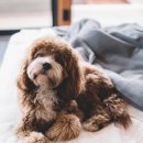 ㈜신화로직스 이미지