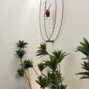 플라스틱성형외과의원