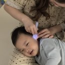 (주)서우팜 | 김장체험, 이불 텐트, 시흥 나들이 (배곧도서관/카페팜/시흥프리미엄아울렛 크리스마스), 생물자원관...