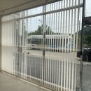 대선월드피아 이미지