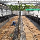 한국그린테크 이미지