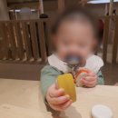 반짝반짝 미술관 | 9개월 아기와 두 번 간 내돈내산 도쿄장난감미술관(현대백화점) 후기(+사진,글많음.)