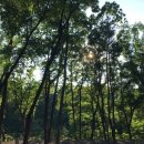 비슬산 숲속 오토캠핑장 이미지