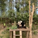 세번티 | 로스트밸리 꿀팁 자리 에버랜드 사람없는날 티익스 세번탄 후기