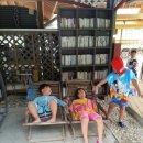 홍천통나무 펜션 이미지