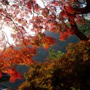 그곳에 가면… 이미지