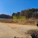 히딩크공인중개사사무소 이미지