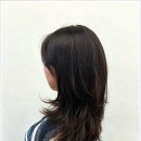 생활헤어커트 이미지