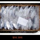 임자수산 Daum카페