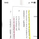 The panther’s coat의 tree diagram이 궁금합니다. 이미지
