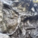 침전 | 제8장 하이데거를 통과하며 :존재의 열림과 침전된 탄성