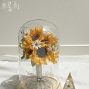 프롬희
