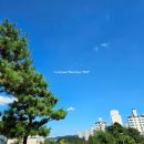 운중로225번길(판교공원로) 이미지