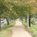 영강체육공원길 이미지